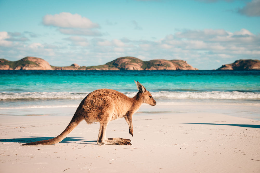 Lucky Bay, Western Australia | Best Beaches In Australia