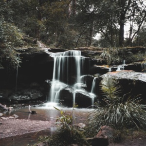 Waterfalls in Carlingford, Sydney NSW
